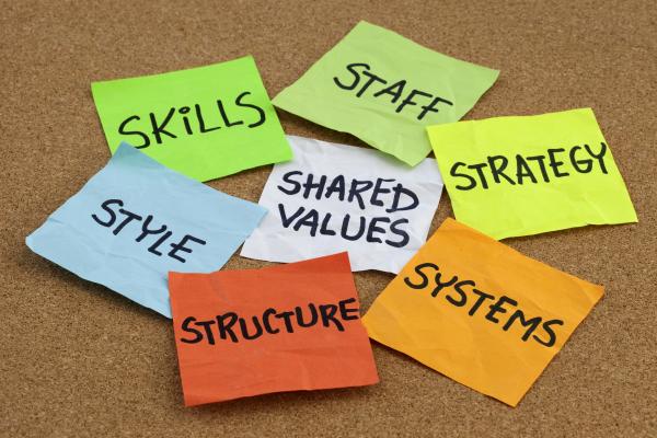 Skills, Staff, Strategy, Shared Value, Systems, Style, Structure