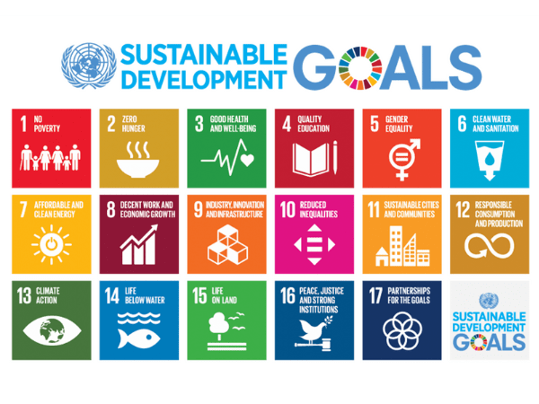 Sustainable Development Goals and a Better World