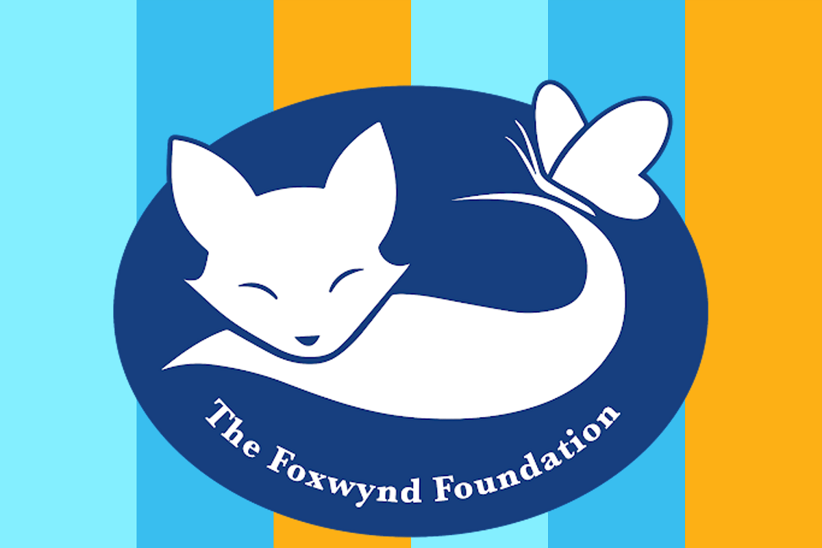 The Founding of a Foundation: An Interview With Pamela Villagra of the Foxwynd Foundation