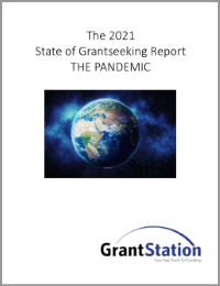 2021 Pandemic Sub-Report