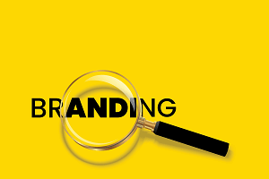 nonprofit brand image